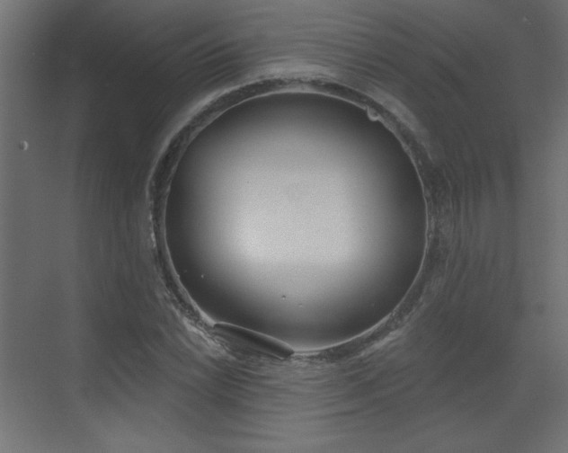 X0000073481022200607311155