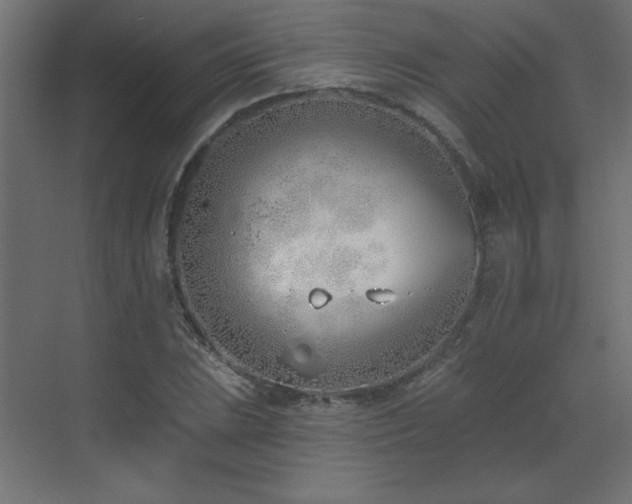 X0000073481023200607311155