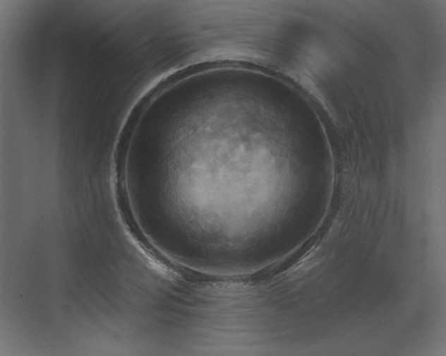 X0000073481024200607311155