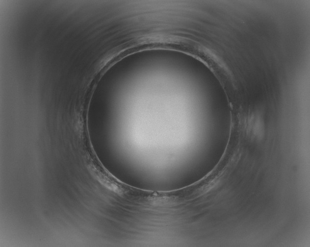 X0000073481025200607311155