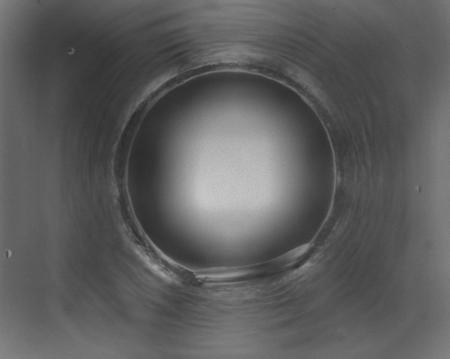 X0000073481026200607311155