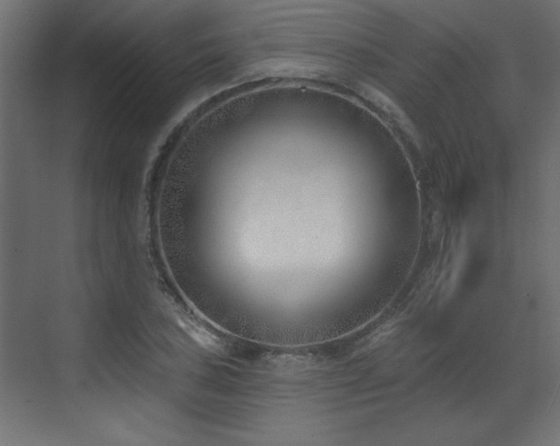 X0000073481027200607311155