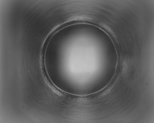 X0000073481029200607311155