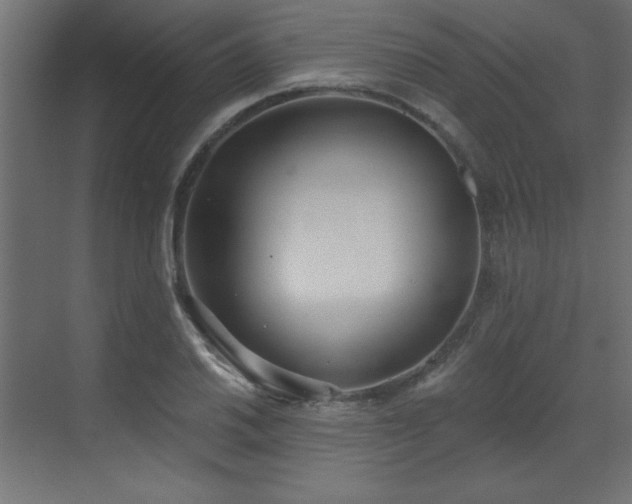 X0000073481030200607311155