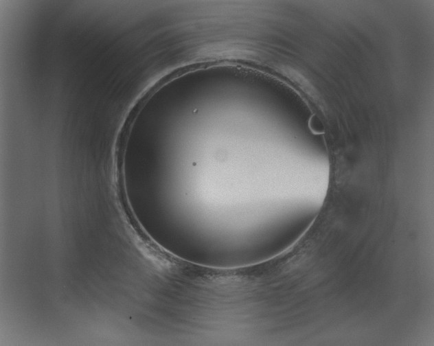 X0000073481031200607311155