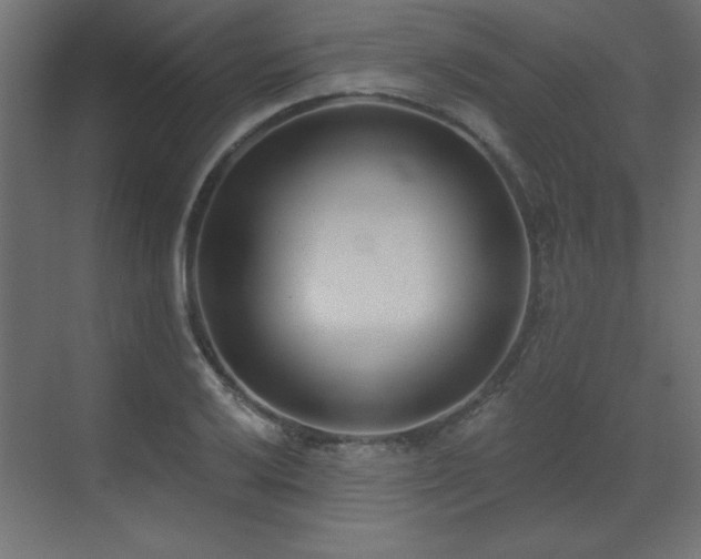 X0000073481032200607311155