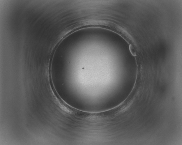 X0000073481033200607311155