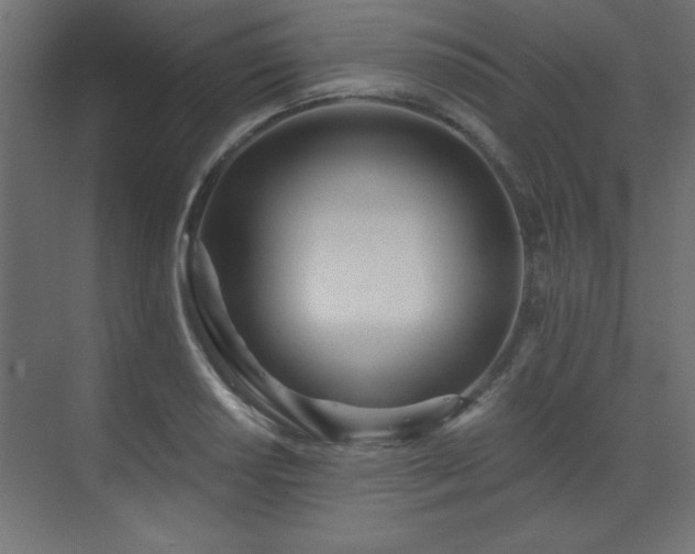 X0000073481034200607311155