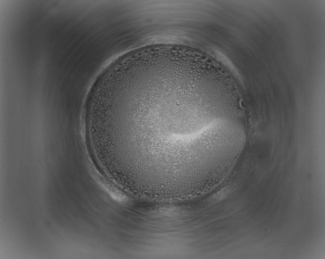 X0000073481035200607311155