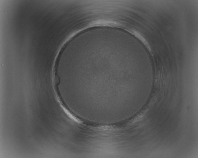 X0000073481037200607311155