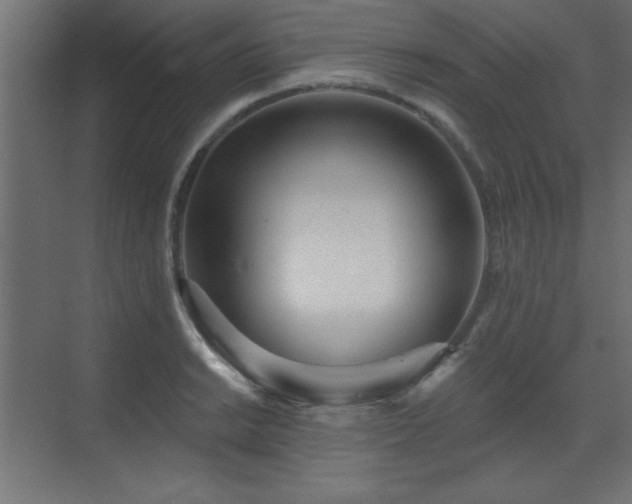 X0000073481038200607311155