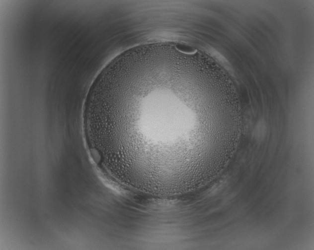 X0000073481039200607311155