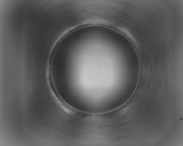 X0000073481040200607311155