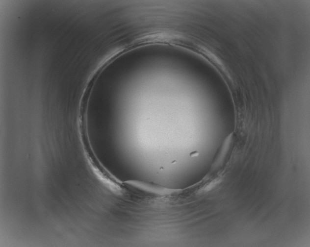 X0000073481042200607311155