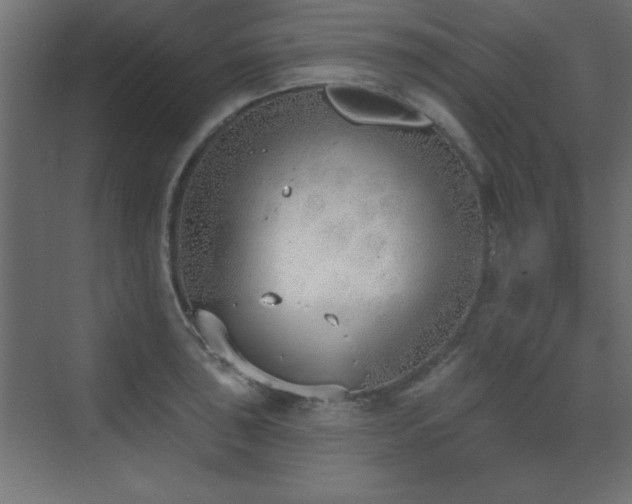 X0000073481043200607311155