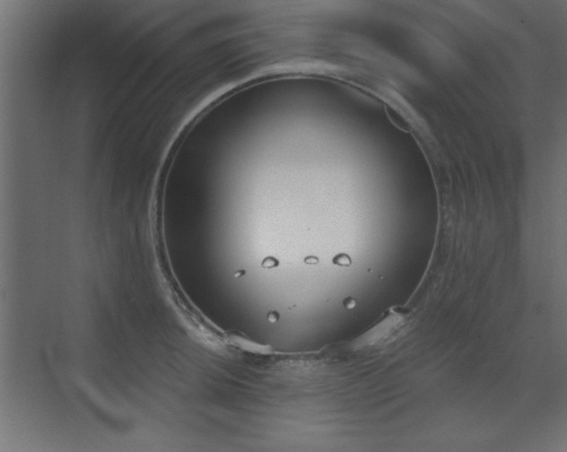 X0000073481044200607311155