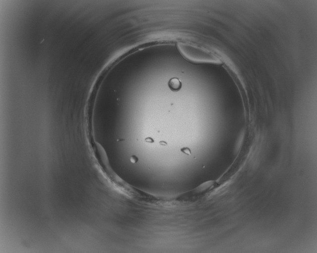 X0000073481045200607311155