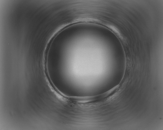 X0000073481046200607311155