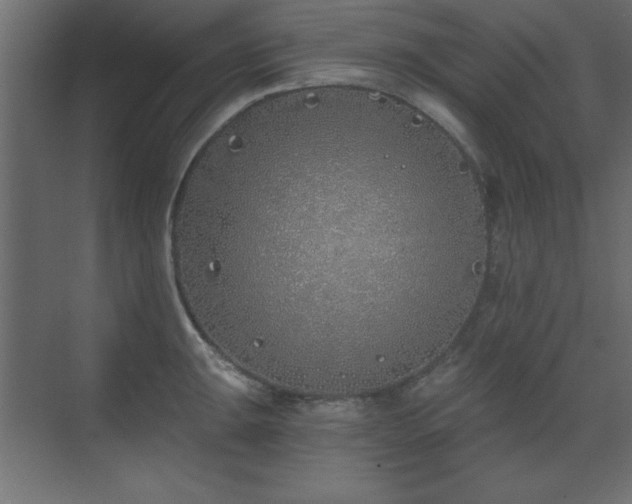 X0000073481047200607311155