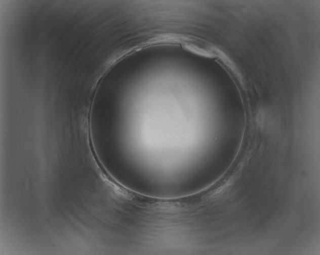 X0000073481049200607311155