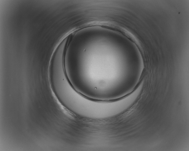 X0000073481050200607311155