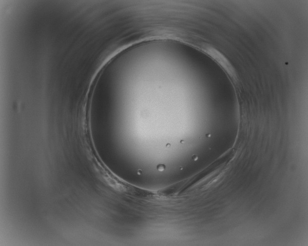 X0000073481052200607311155