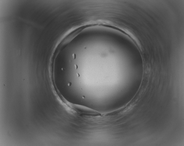 X0000073481054200607311155