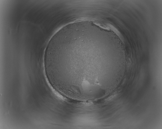 X0000073481055200607311155