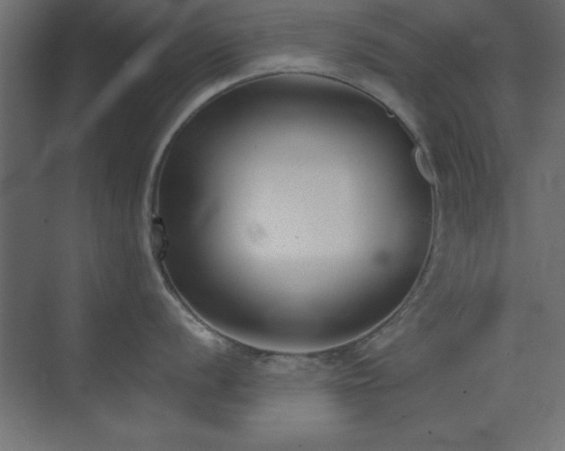 X0000073481056200607311155