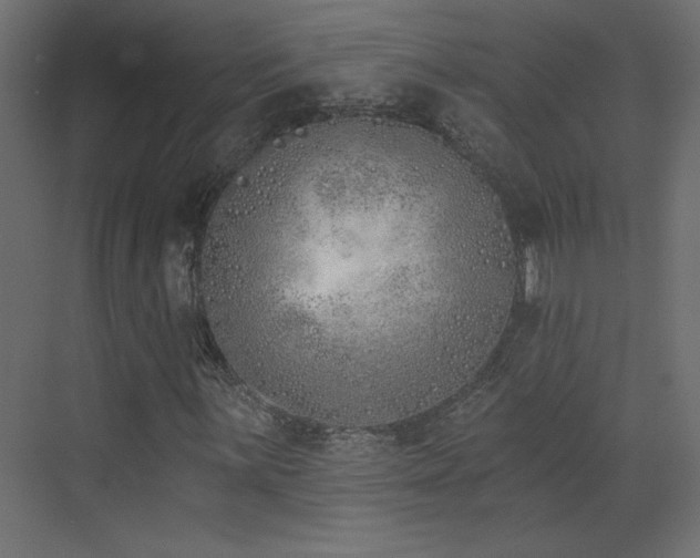 X0000073481059200607311155