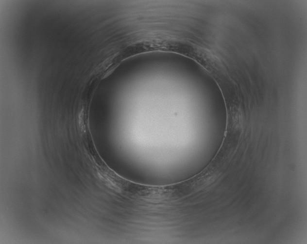 X0000073481060200607311155