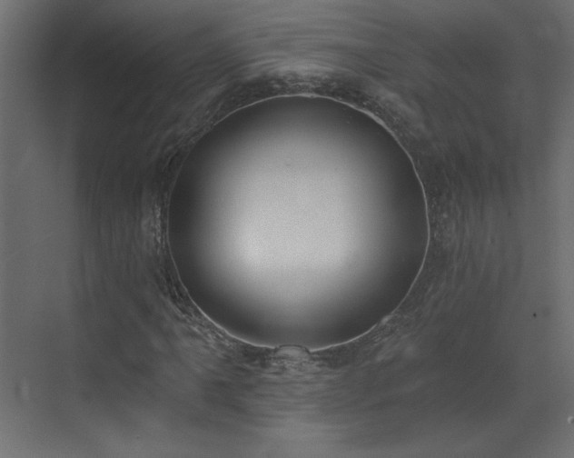 X0000073481061200607311155