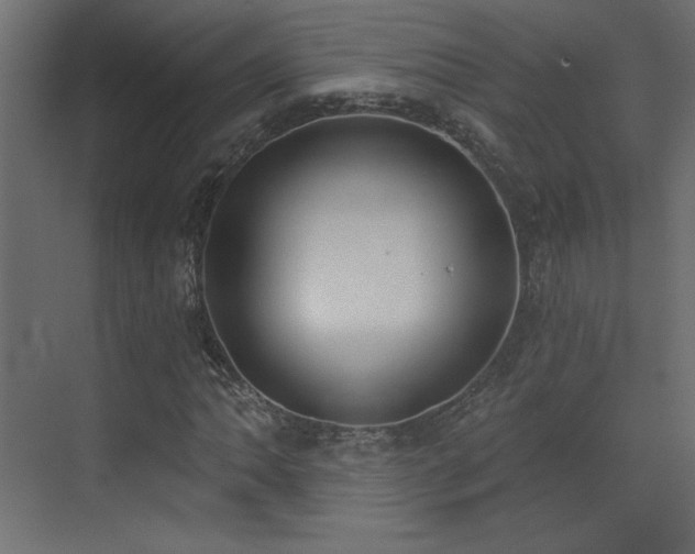 X0000073481062200607311155