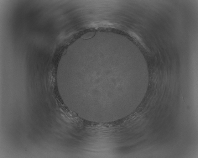 X0000073481063200607311155