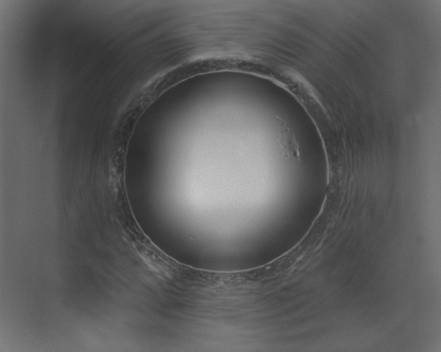 X0000073481064200607311154