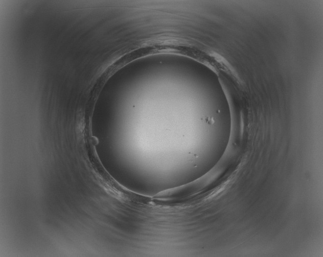 X0000073481065200607311154