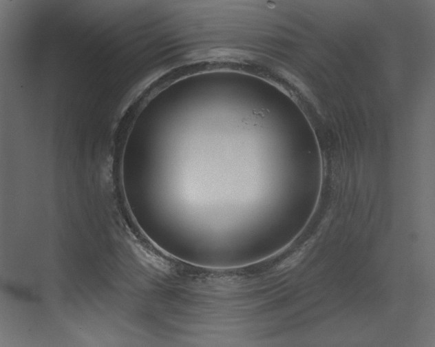 X0000073481066200607311154