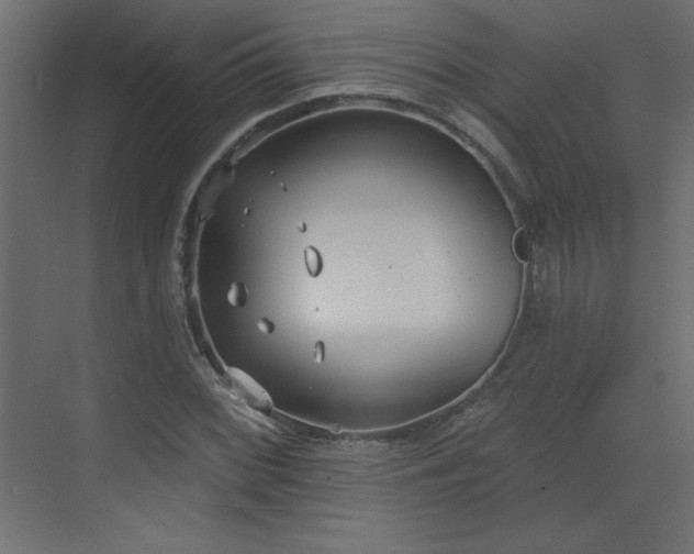 X0000073481068200607311154