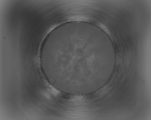 X0000073481071200607311154