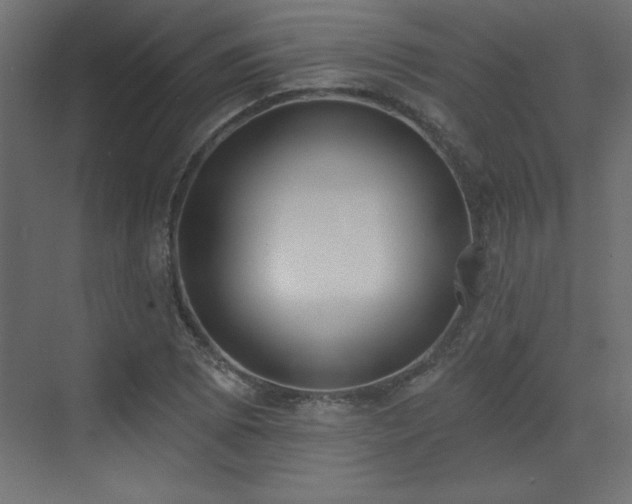 X0000073481073200607311154