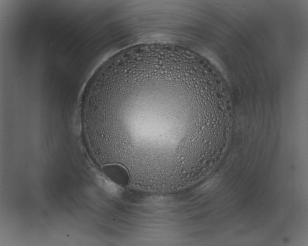 X0000073481075200607311154