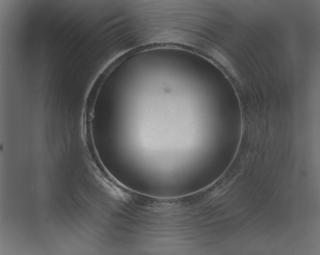 X0000073481076200607311154