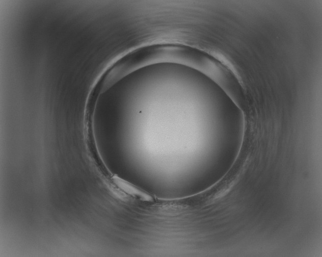 X0000073481077200607311154