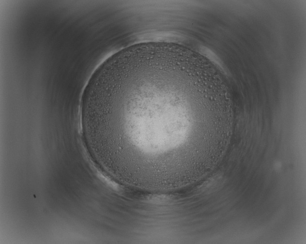 X0000073481079200607311154