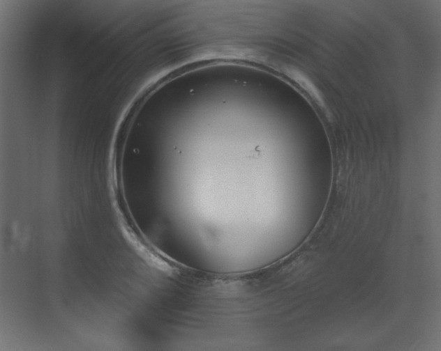 X0000073481080200607311154