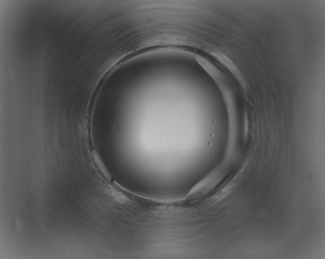 X0000073481081200607311154