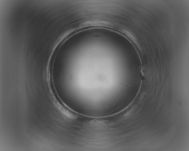 X0000073481082200607311154