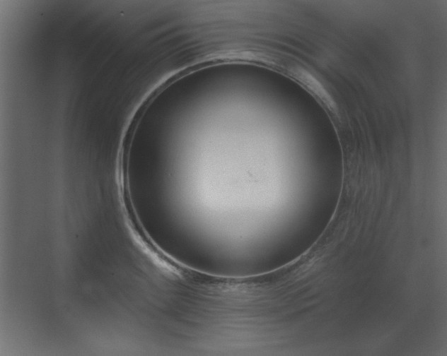 X0000073481084200607311154