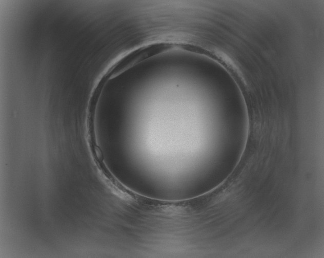 X0000073481085200607311154