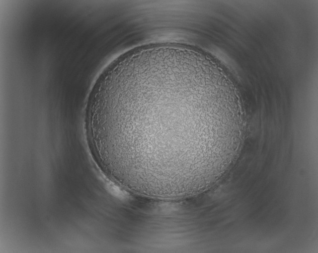 X0000073481086200607311154